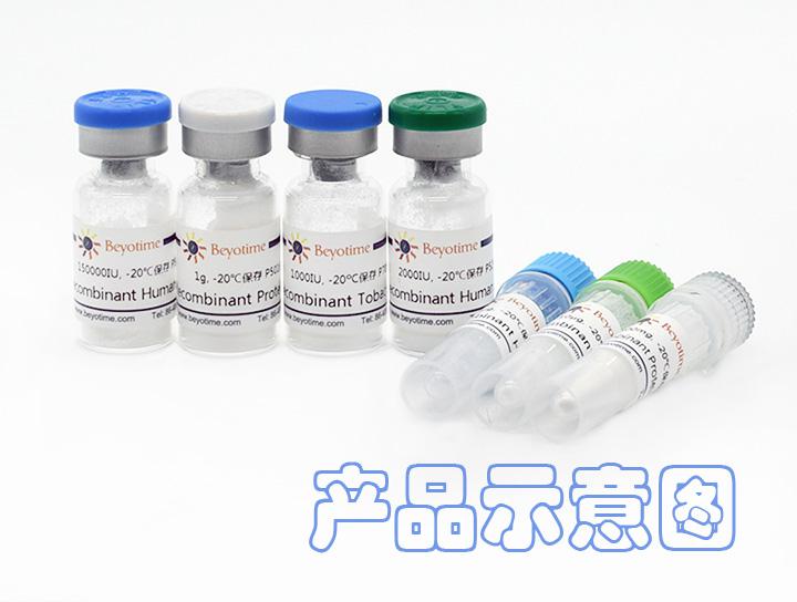 Recombinant Rat VCC-1/CXCL17